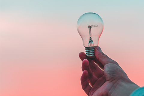 Hand holding lightbulb.